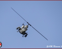 TSR Watermark - 0457